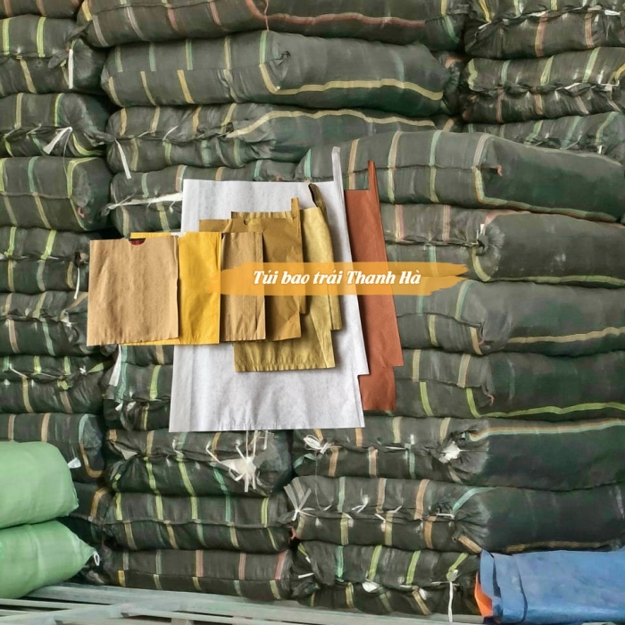 Tổng kho phân phối hàng đầu miền bắc các loại túi giấy bao trái