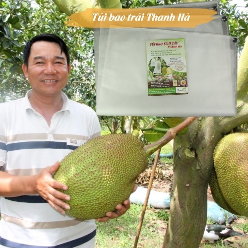 Phân phối Bao trái mít Thanh Hà 50x70cm chất lượng cao trên toàn quốc
