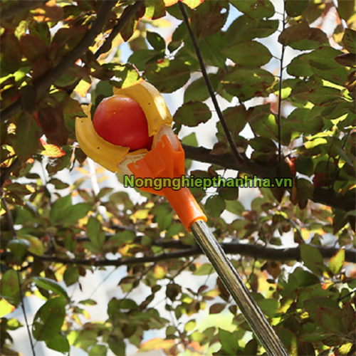Dụng cụ hái trái cây trên cao 1,5m Đài Loan