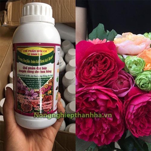 Phân bón hữu cơ chuyên dùng cho hoa hồng