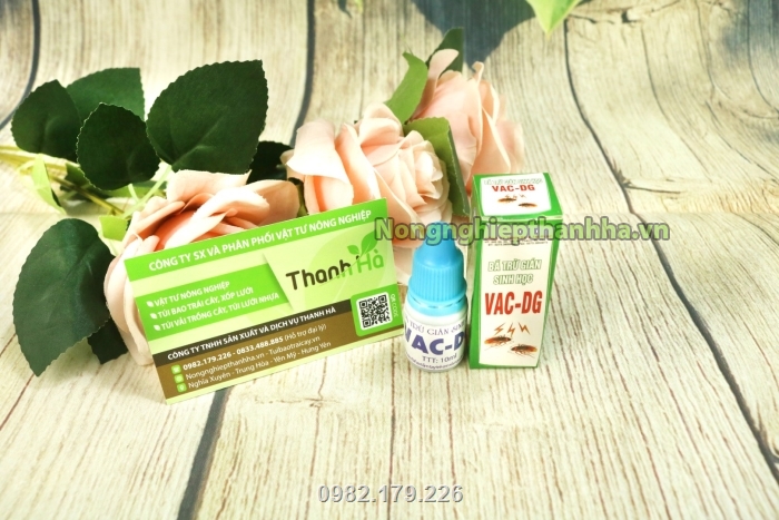 Thuốc diệt gián VAC-DG giúp tiêu diệt gián nhanh chóng, hiệu quả