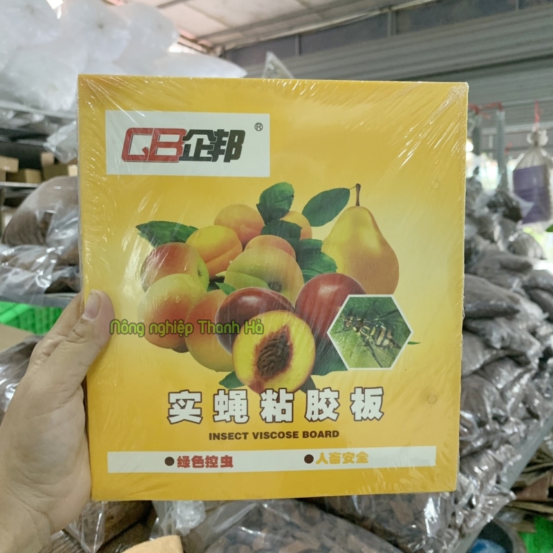 Keo dính bẫy ruồi, côn trùng miếng 22x40 cm