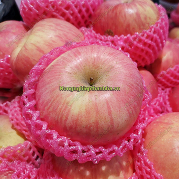 Xốp bọc trái cây màu đỏ dài 15 cm (1kg)