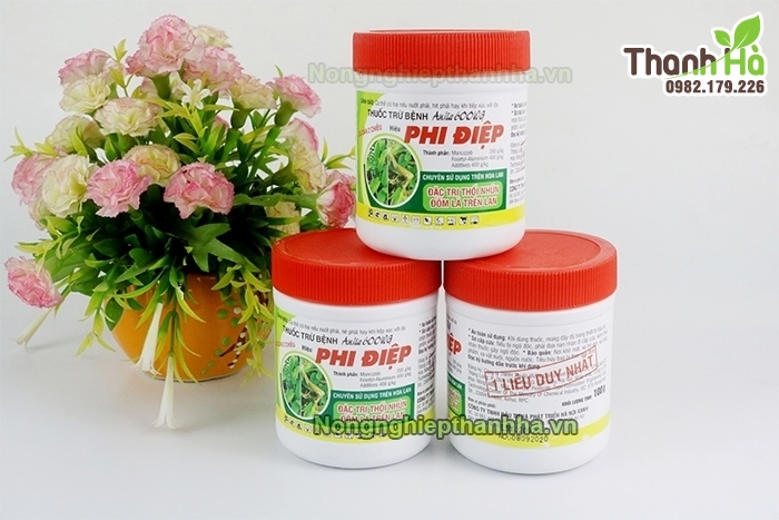 Trị thối nhũn trên lan Phi Điệp Anlia 600WG bằng 1 liều duy nhất